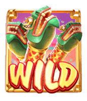 wild-wild-fireworks