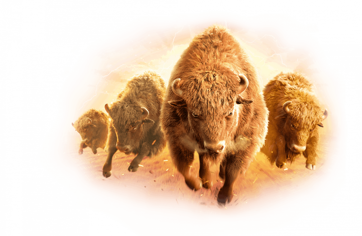 Buffalo-Win-1-1536x1002 slot pg true wallet auto ambbet evo pgslot สล็อตออนไลน์ แตก ง่าย