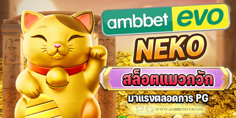 แมว pg